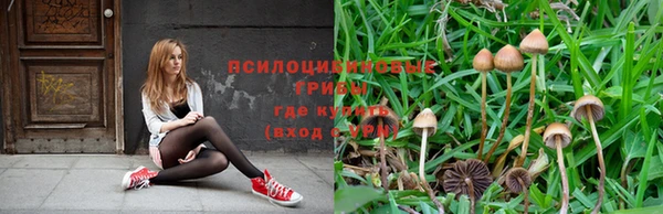 мяу мяу кристалл Алзамай